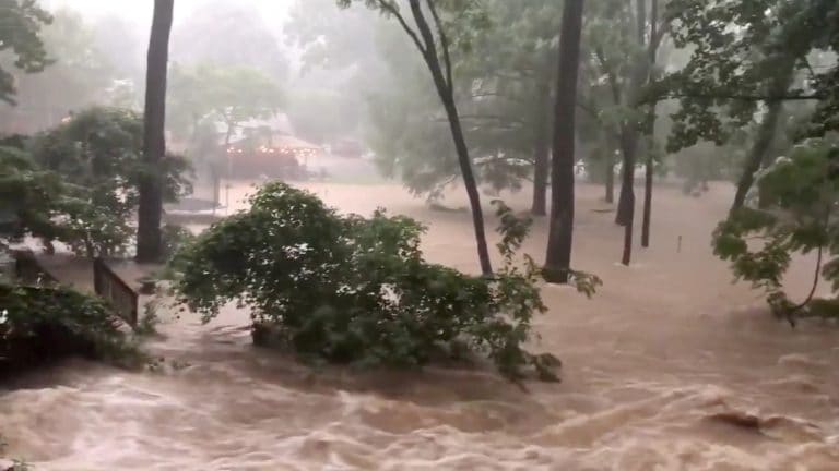 IMD Cyclone警告，现在在Umang App上提供的天气预报;检查这里的详细信息