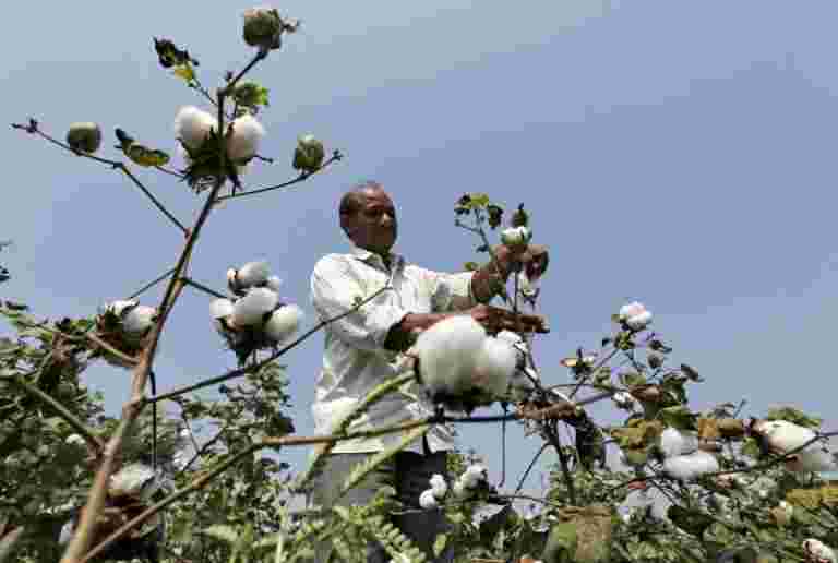 普华永道印度表示，专注于令人振奋的农村和农业收入将产生积极影响。