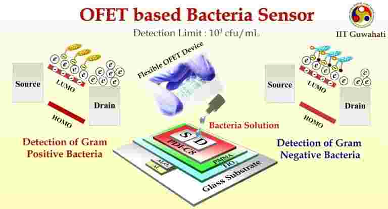 IIT Guwahati建立了手持设备以检测细菌