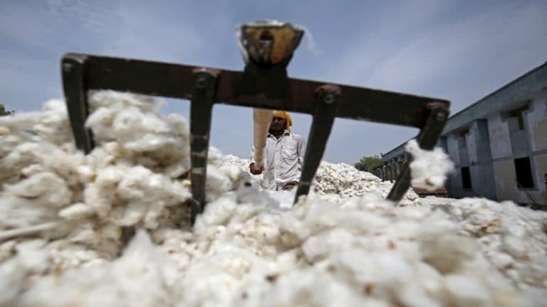 拜耳AG说，由于皇室问题，在印度无法在印度介绍BT棉科技