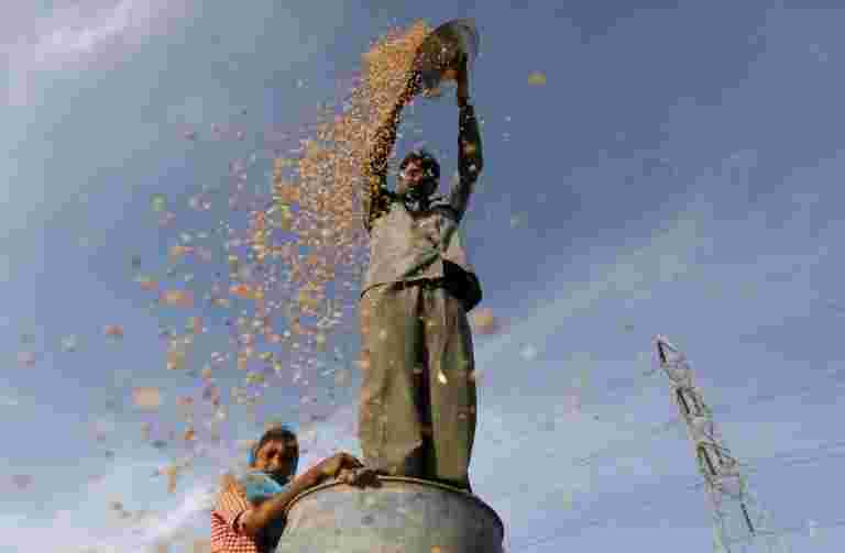 印度2019年的小麦产量可能会落在稀少的降雨上