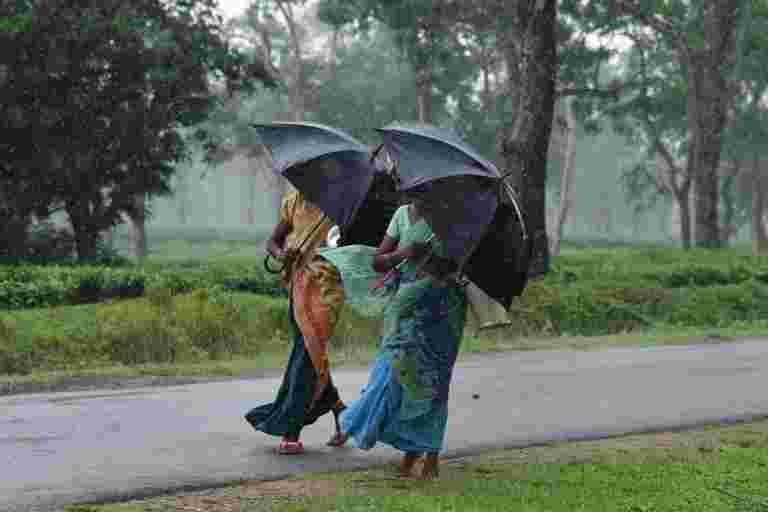 现在天气预报员屏蔽印度公司的雨天