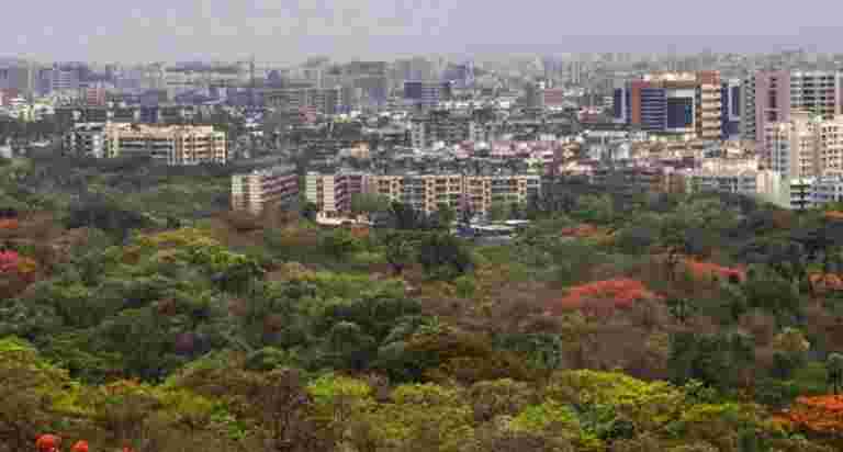 Aarey&ldquo;Forest&rdquo;已经解雇了孟买的民意调查场景