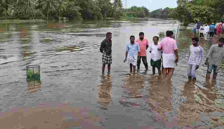 喀拉拉邦洪水：救援人员对拯救动物的奸诈条件