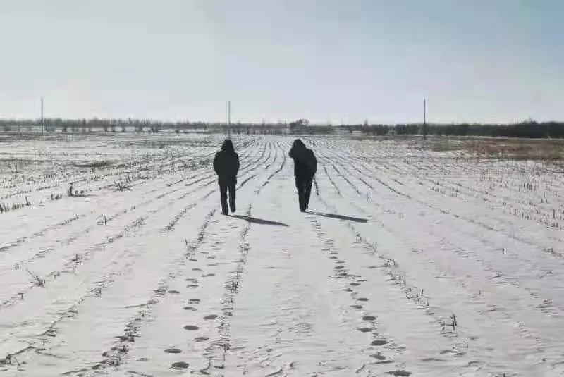 起底通辽“12·15”杀人案：嫌疑人荒野雪地逃窜3天，天罗地网中服药自缢