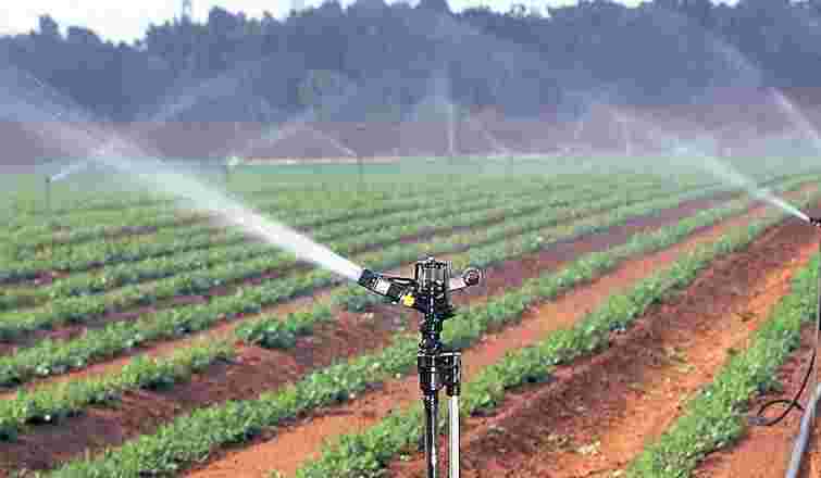 预算2020：41％的微灌溉分配跳跃。是否足以满足农业缺水？