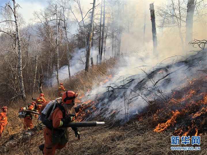 #（图文互动）内蒙古阿尔山好森沟林场发生森林火灾 已投入近千人扑救