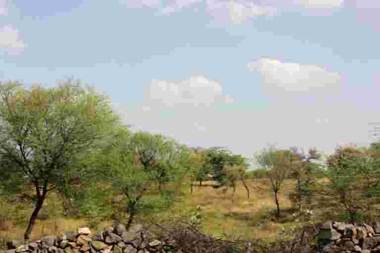 拉贾斯坦邦村庄斗争以保护他们的共同土地免于采矿活动