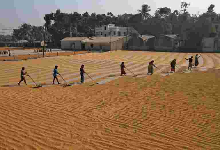 印度大米出口价格向多年供应量涨幅较低